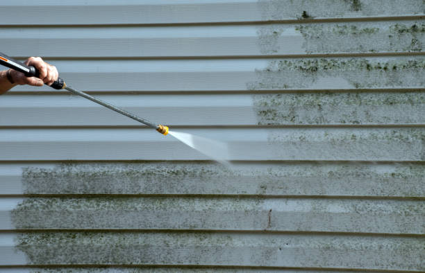 Reliable Belle Chasse, LA Pressure Washing Services Solutions